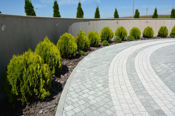 Reasons to Select Us for Your Driveway Paving Requirements in Buenaventura Lakes, FL
